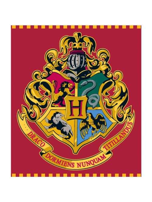 EMM5248128 Coperta Harry Potter in Peluche 120x150 cm